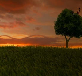 越南畫家創世界紀錄：34年沒剪指甲 左右手指甲總長度近600厘米 稱不影響日常生活